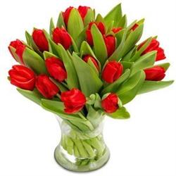 Bukiet 10 20 30 50 czerwonych tulipanów na DZIEŃ KOBIET