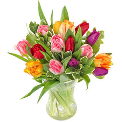 Bukiet 10 20 30 50 kolorowych tulipanów na DZIEŃ KOBIET